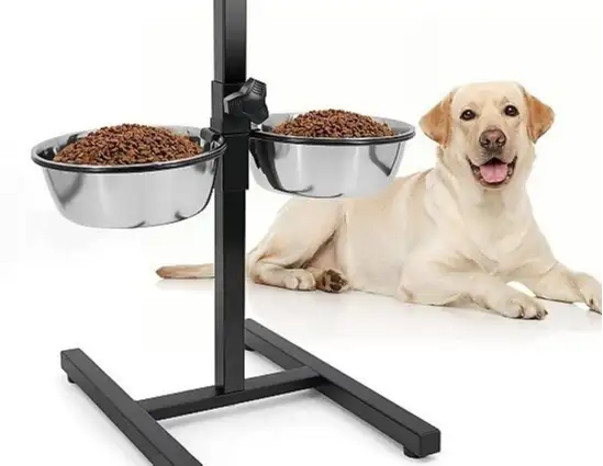  elevated dog feeder