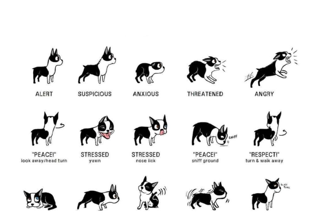 Dog Sign Language Chart 2