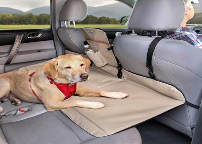 Read more about the article Backseat Extender For Dogs : No More Cramped Car Rides