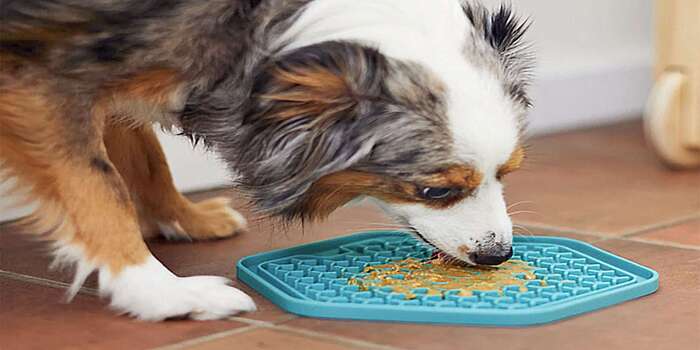Read more about the article Fun and Easy Lick Mat Recipes for Dogs