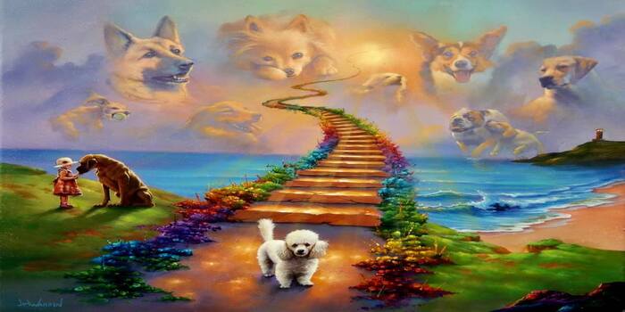 Read more about the article Rainbow Bridge Poem For Dogs