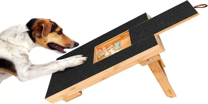 Read more about the article Scratch Square For Dogs: The Ultimate Playground for Your Furry Friends