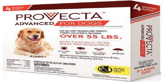 Provecta for Dogs
